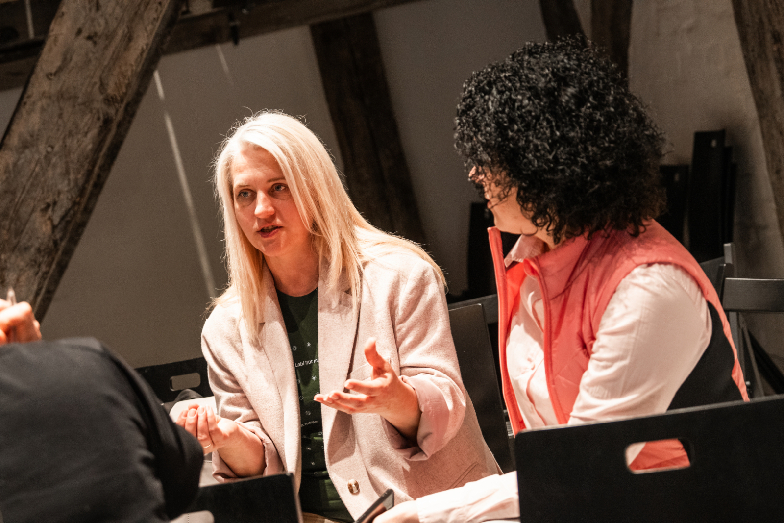 DigiTilts Profesionāļu kopienu un mentoru programmas izlaidums