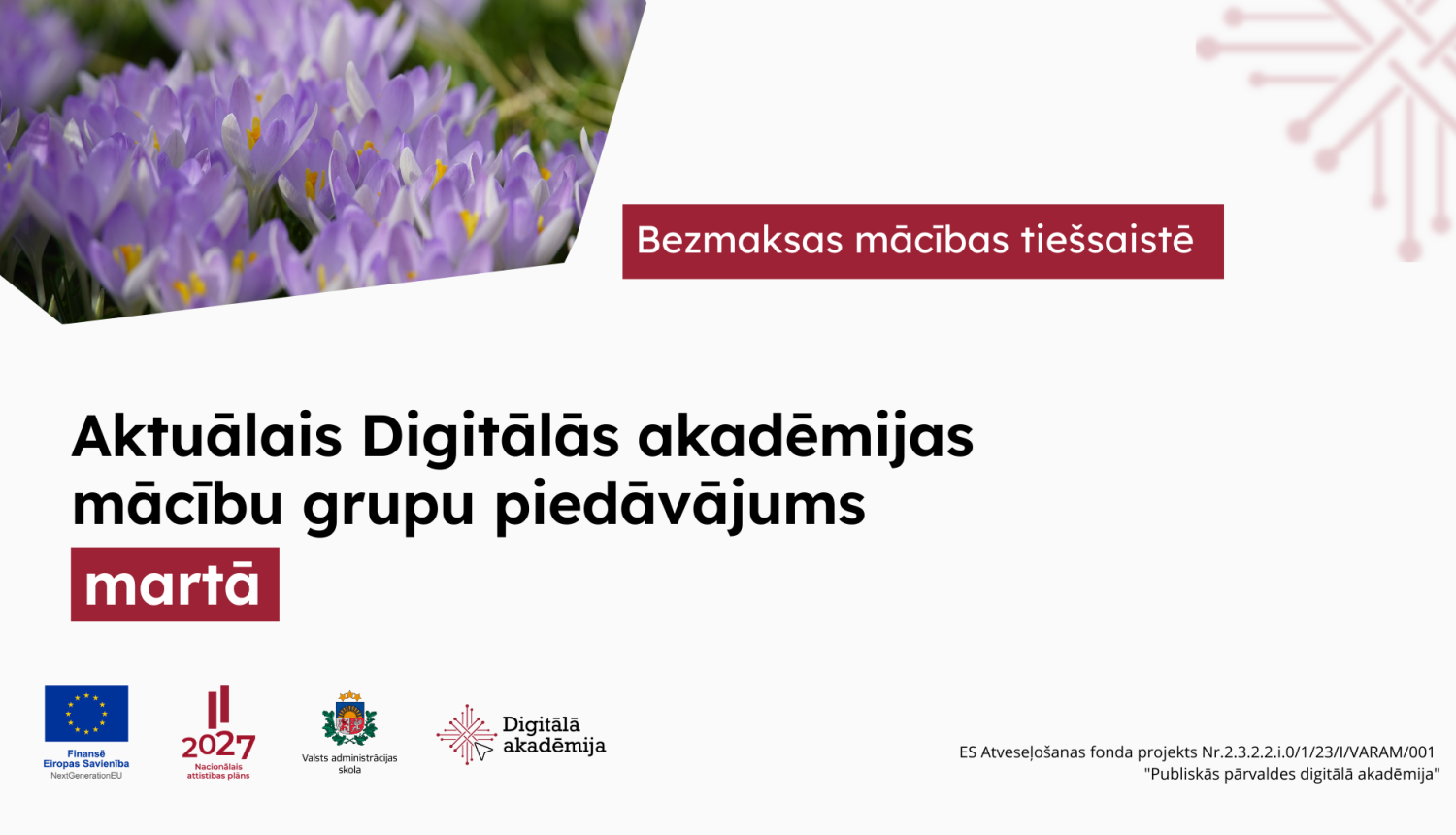 Aktuālais Digitālās akadēmijas mācību grupu piedāvājums martam